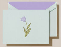 Tulip Boxed Folded Note Cards - Hand Engraved