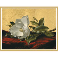 Magnolia Grandiflora Holiday Cards
