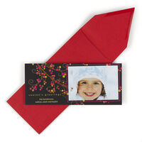 Berry Branch Holiday Photo Cards