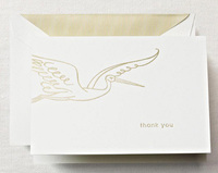 Special Delivery Boxed Thank You Note Cards