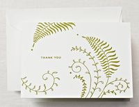 Letterpress Ferns Thank You Note Boxed Note Cards
