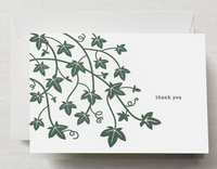 Letterpress Ivy Thank You Note Boxed Note Cards