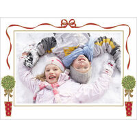Topiary Photo Holiday Cards
