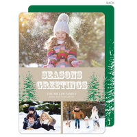 Seasons Greetings Holiday Photo Cards