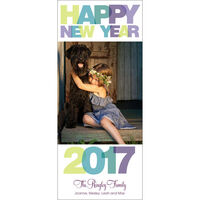 Bon Annee New Year Photo Cards