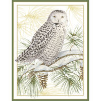 Snowy Owl Holiday Cards